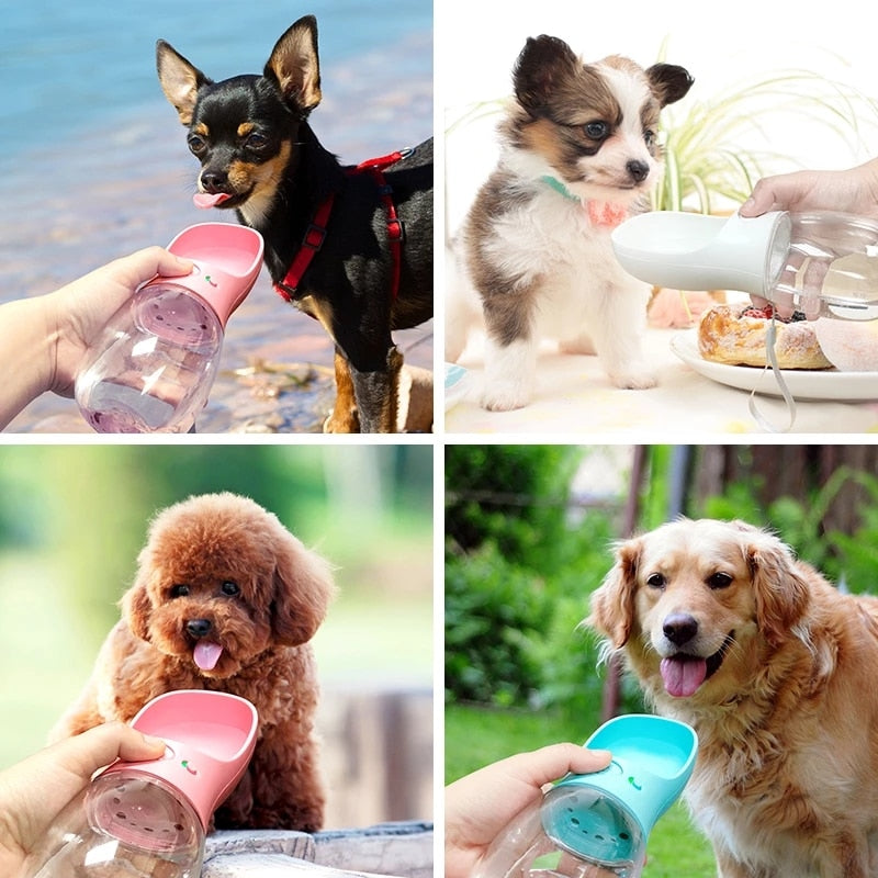 Pet Travel Water and Feeder Bottle