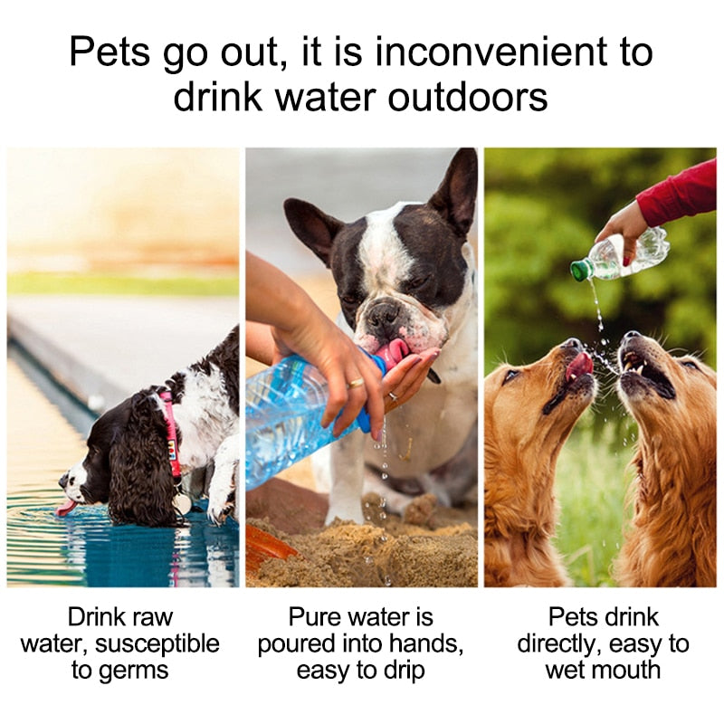 Pet Travel Water and Feeder Bottle